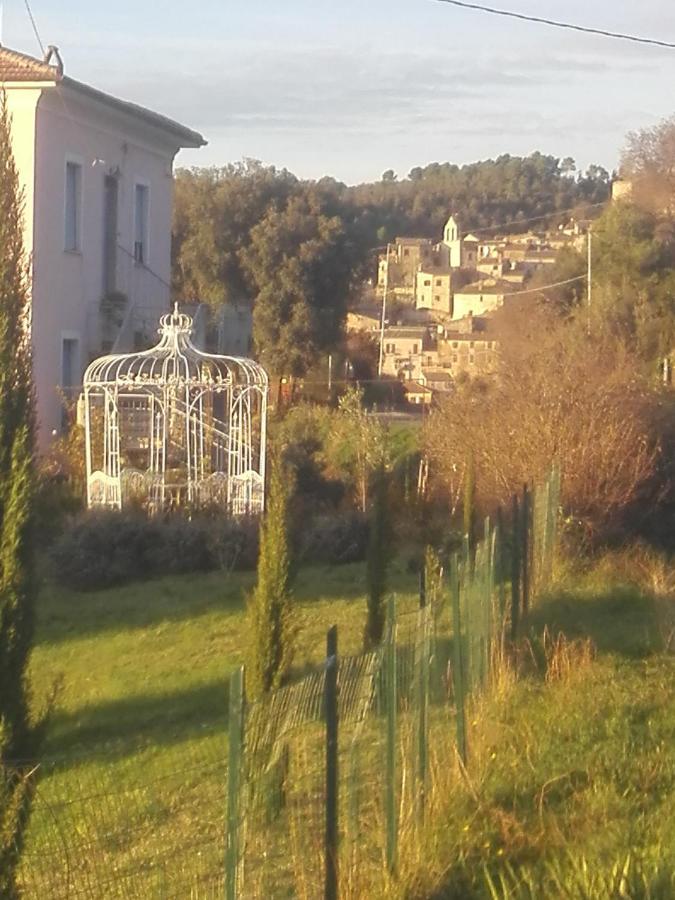 Tramonti E Valli Calvi dellʼ Umbria 외부 사진